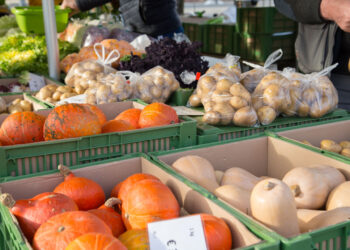 Einkaufen am Bauernmarkt