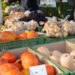 Einkaufen am Bauernmarkt