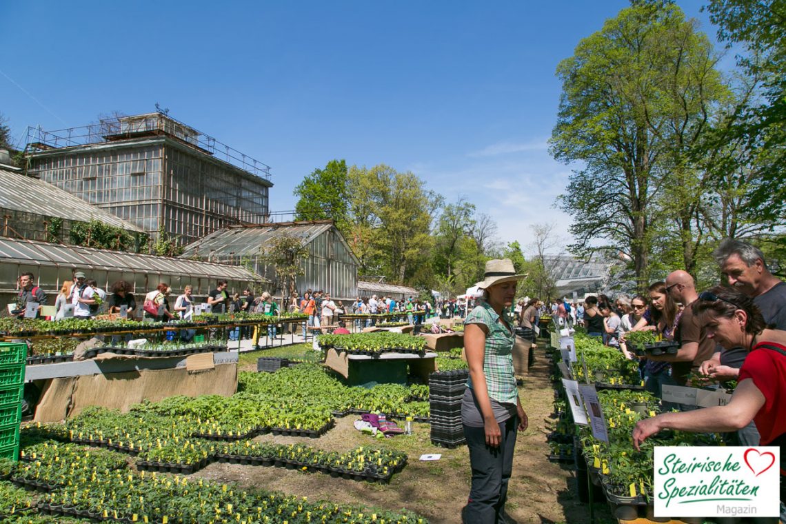 Pflanzen Raritatenmarkt Im Botanischen Garten In Graz Gartentipp