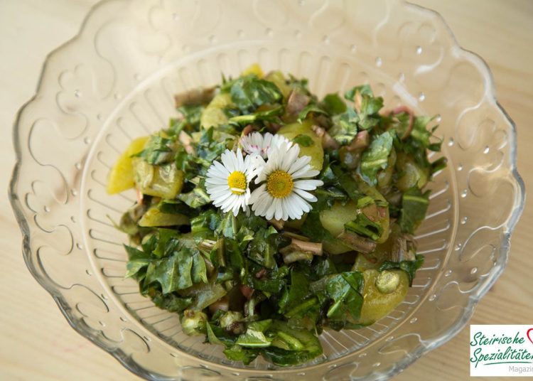 Salat Rezepte - Steirische Spezialitäten