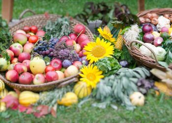 Saisonkalender Gemüse Obst